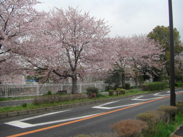 Streets around. View from the 10m local to streets