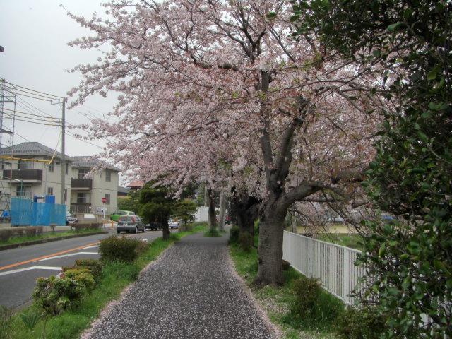 Streets around. 10m promenade to promenade