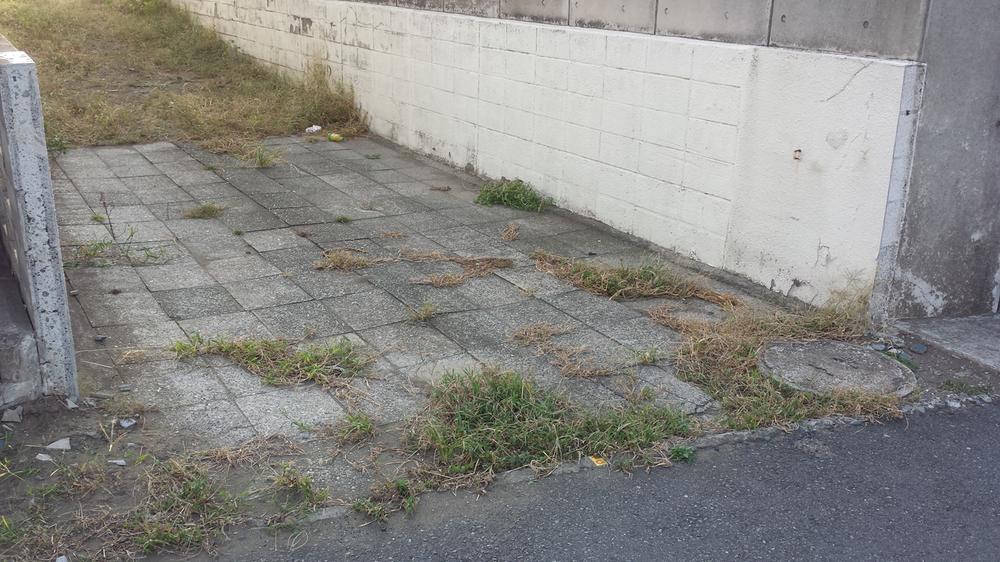 Local land photo. Local (10 May 2013) Shooting