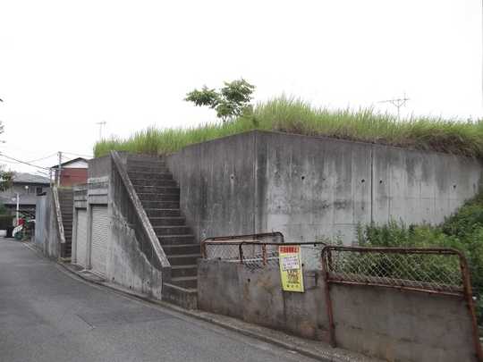 Local land photo. appearance