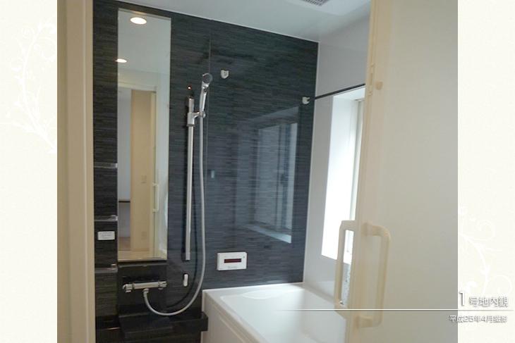 Bathroom.  [No. 1 destination] [Introspection Photo] 2013 April shooting