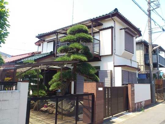 Local land photo. Appearance (1)