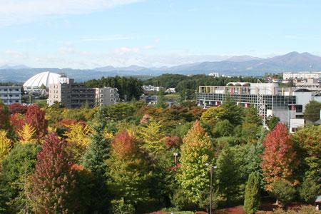 park. 1853m to Izumi Chuo Park