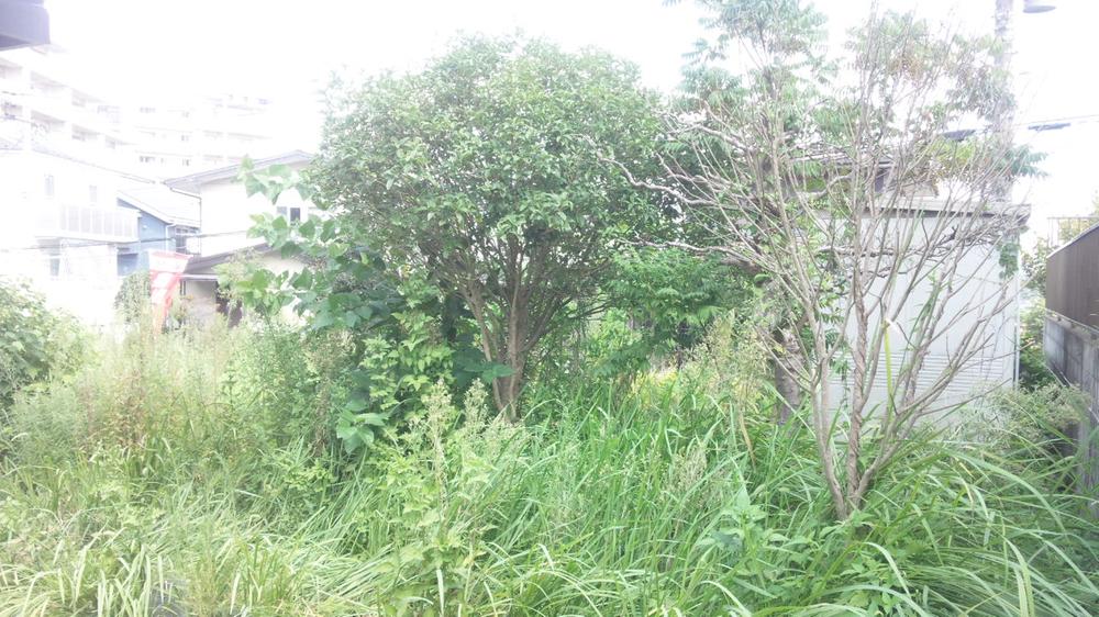 Local appearance photo. Local (September 2013) Shooting