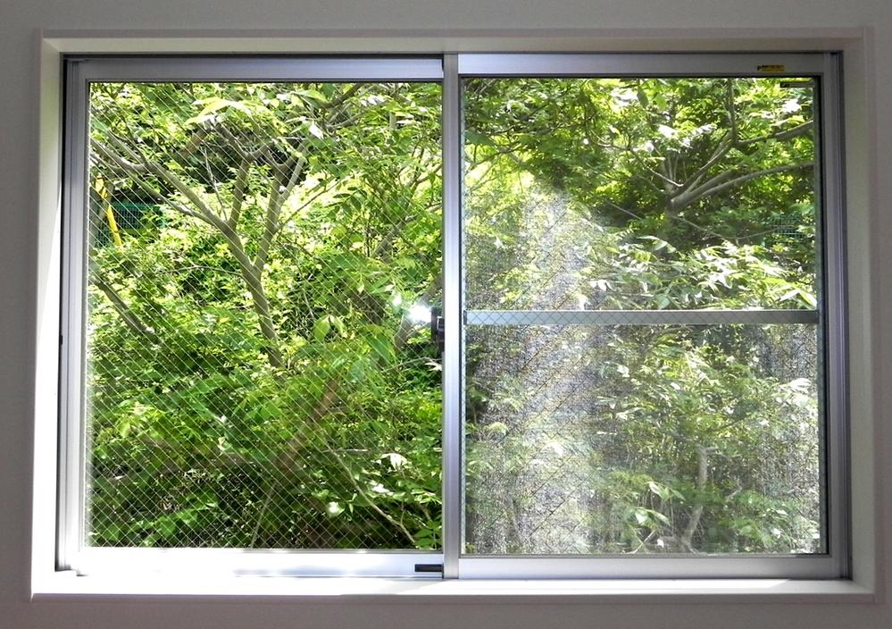 Other introspection. Windows crammed green frame full is like a painting