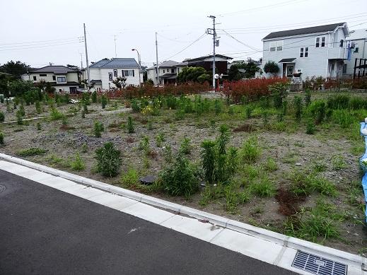 Local land photo. Local (June 2013) Shooting Price is attractive NO. !