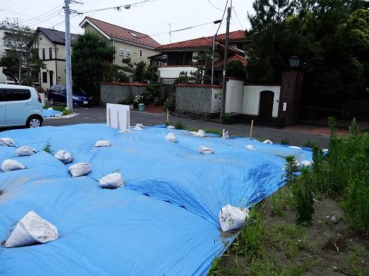 View photos from the local. View from the site (June 2013) Shooting Of parkland unique, Green is the distance of many house and home have vacant.
