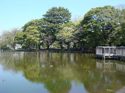 park. 554m until Sakurakoji park