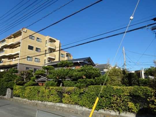 Local land photo. 2013 December shooting