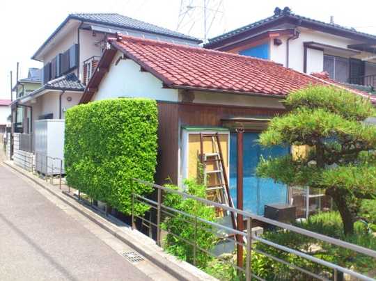 Local land photo. Appearance (1)