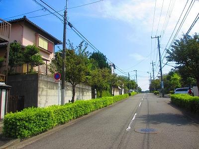 Local photos, including front road. Local (August 30, 2013) Shooting