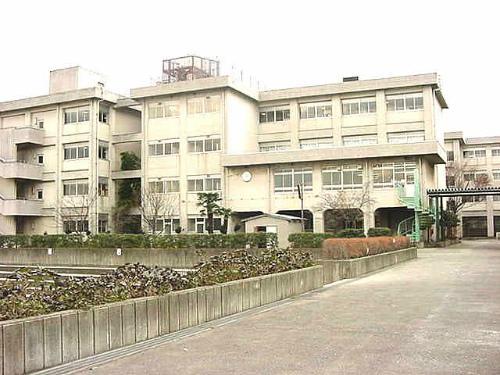 Primary school. Koito to elementary school 340m