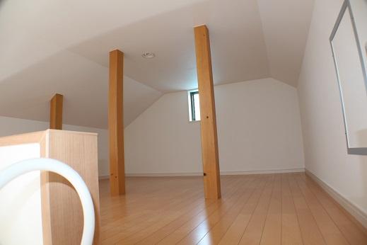 Other introspection. Indoor (July 2013) Shooting