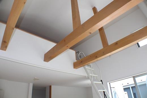 Other introspection. Indoor (July 2013) Shooting