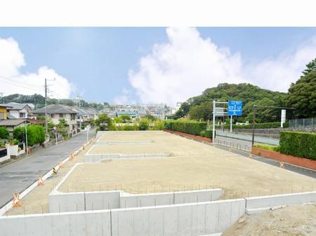 Lush environment. Local taken from the southeast side (September 2013)