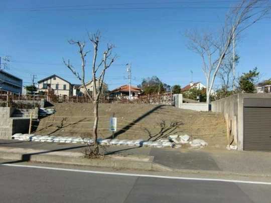 Local land photo. local