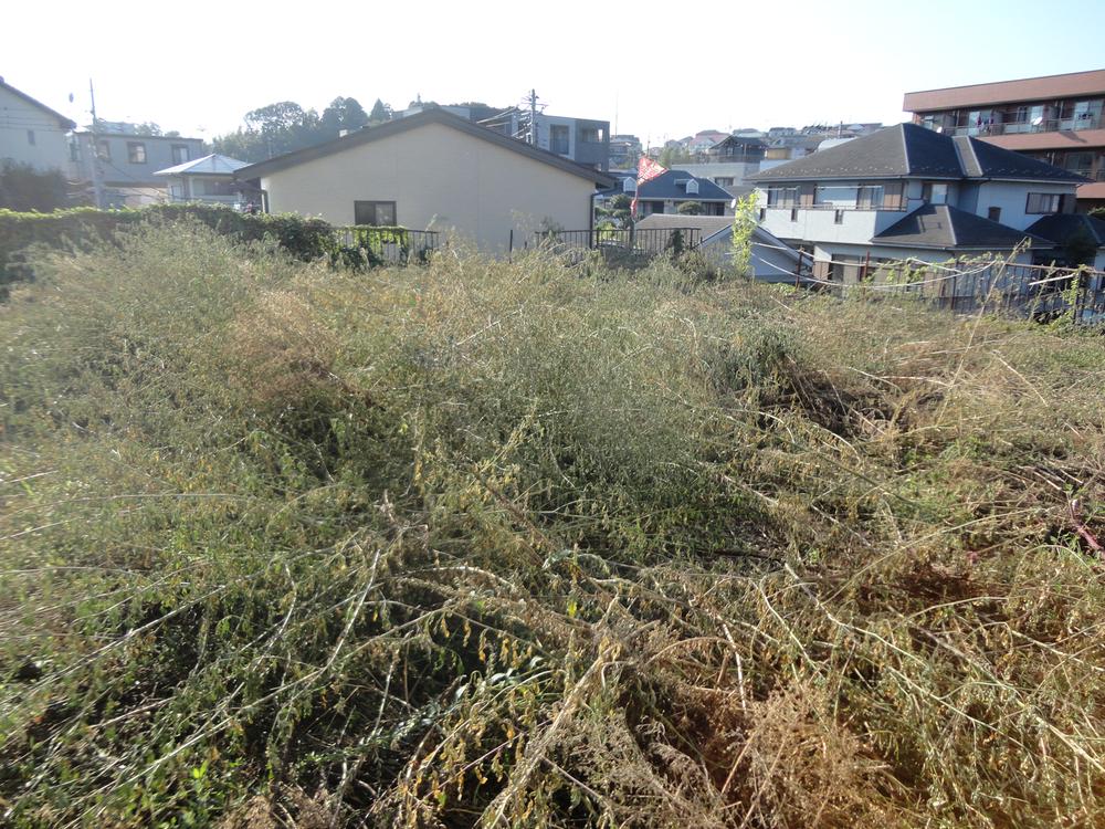 Local land photo. Local (August 2013) Shooting