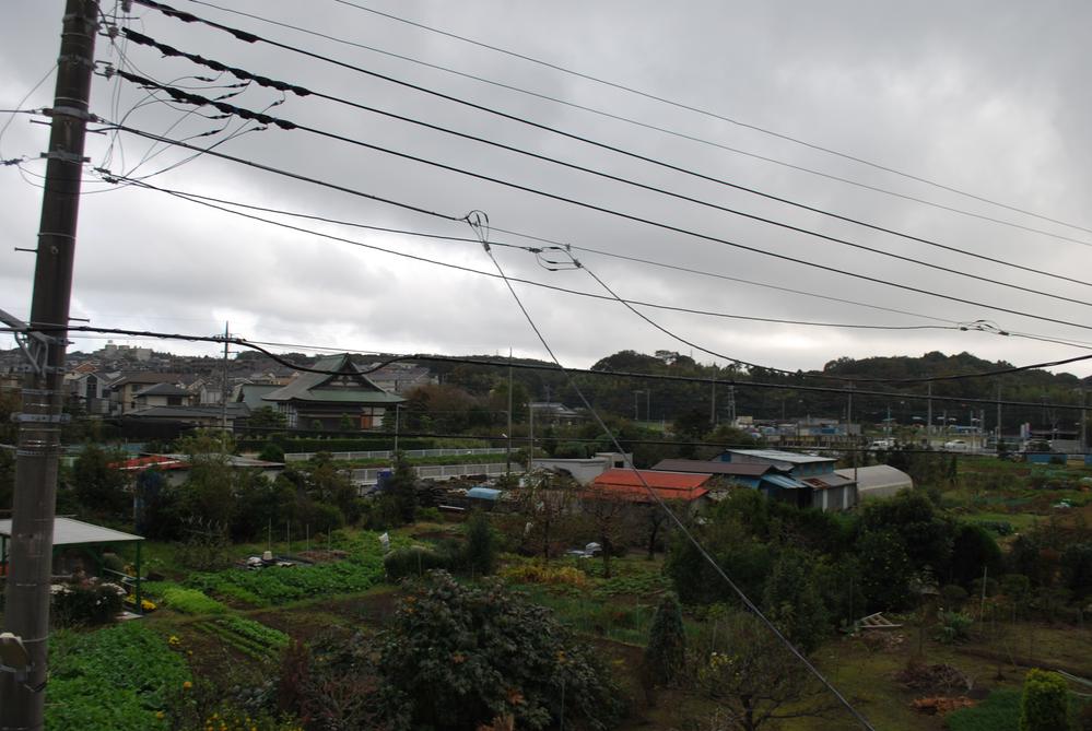 View taken from the local