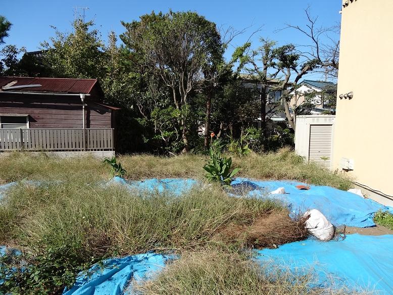 Local land photo. Local (10 May 2013) Shooting Also widely around your house, There is a feeling of opening and away the house and the house. 