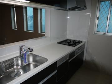 Kitchen. Indoor (11 May 2013) Shooting