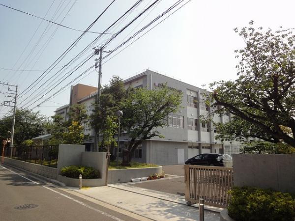 Primary school. Hon until elementary school 462m