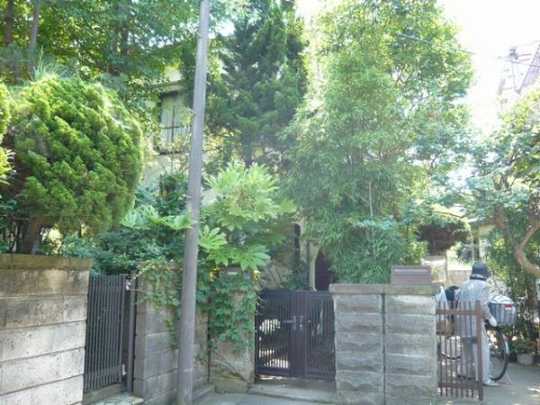 Local land photo. appearance