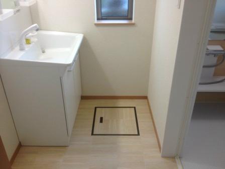 Wash basin, toilet. It is undressing space!