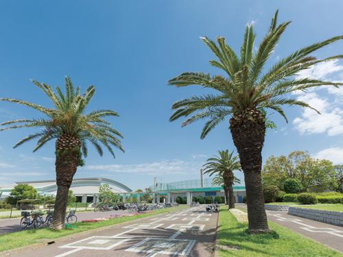 park. Kugenuma to Sports Park 1270m