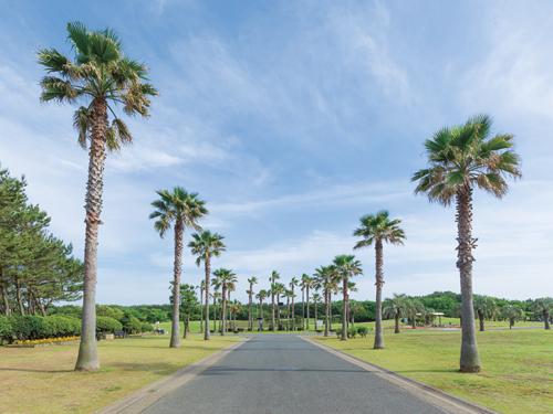 park. Tsujido Seaside Park: bicycle about 9 minutes (2140m)
