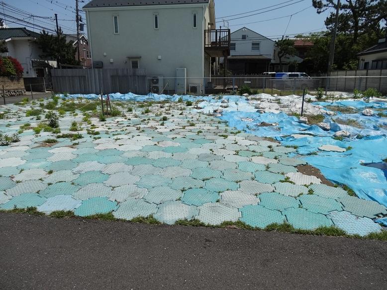 Local land photo. Local (May 2013) Shooting