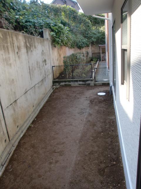 Garden. Interior (November 2013) Shooting