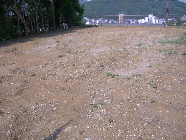 Local land photo. Local (July 2012) shooting