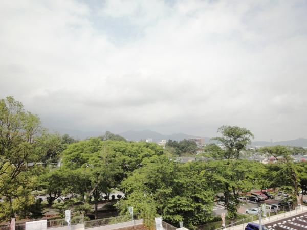 View photos from the dwelling unit