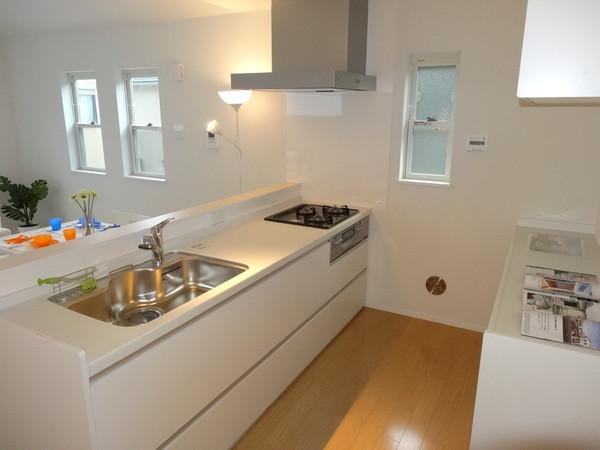 Kitchen. Indoor (May 18, 2013) Shooting