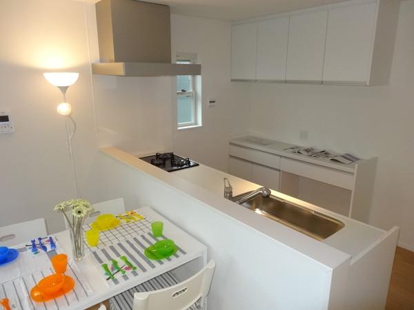 Kitchen. Indoor (May 18, 2013) Shooting