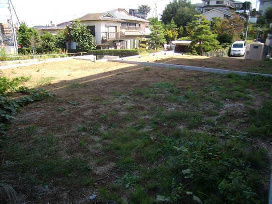 Local appearance photo. Local Photos