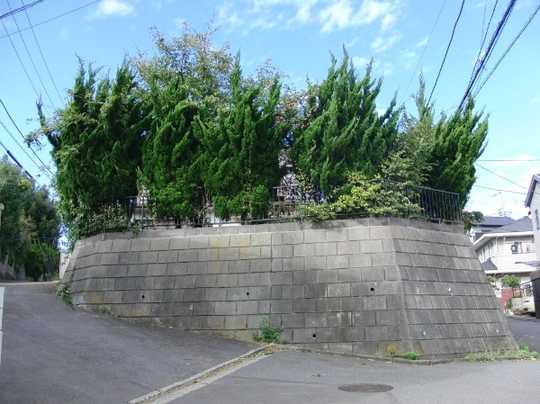 Local land photo. Exterior (1)