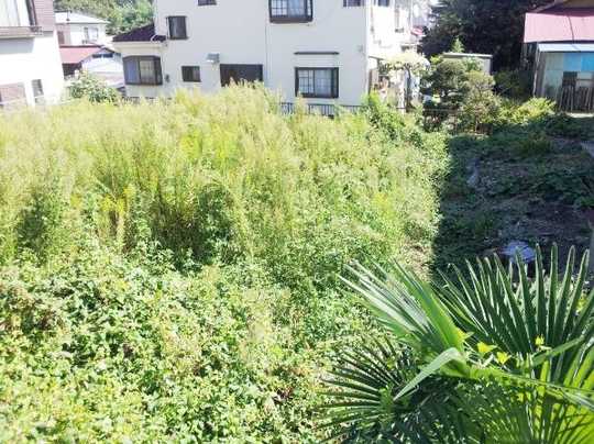 Local land photo. Local from west