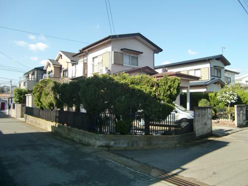 Local land photo. Local (12 May 2013) Shooting