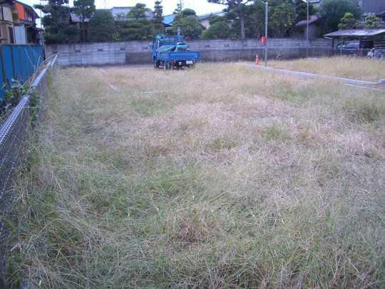 Local land photo. Local Photos