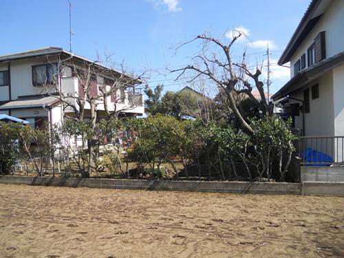 Local land photo. Local (April 2012) shooting