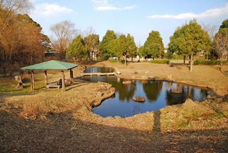 park. 271m until golden eye water park