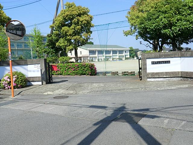 Other. Junior high school