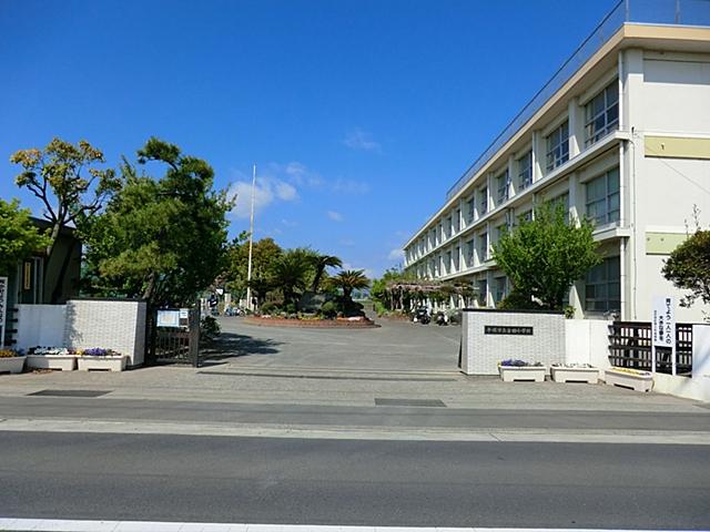 Other. Primary school