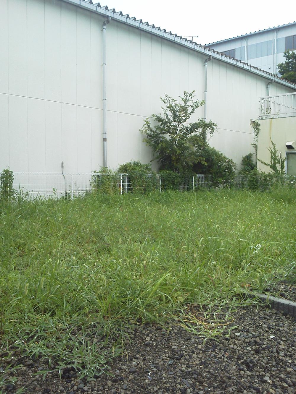 Other local. Local (10 May 2012) shooting