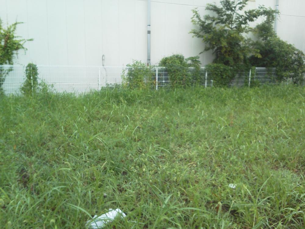 Other local. Local (10 May 2012) shooting