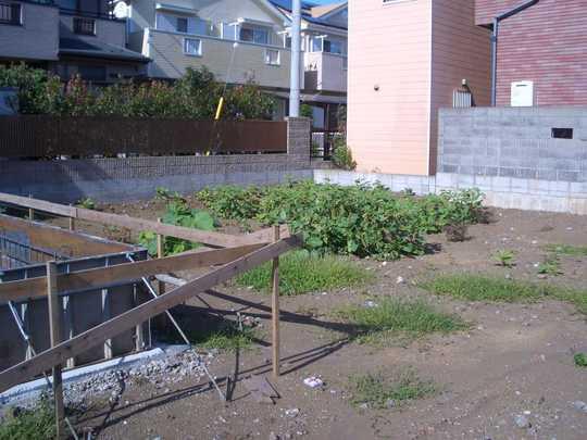 Local land photo. Local Photos