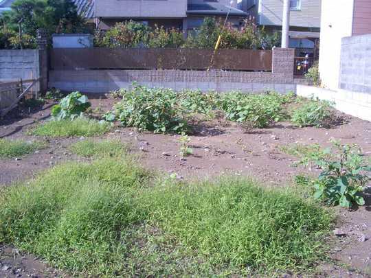 Local land photo. Local Photos