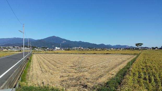 Other Environmental Photo. Local 200m close to the countryside