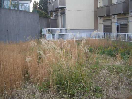 Local land photo. Local Photos